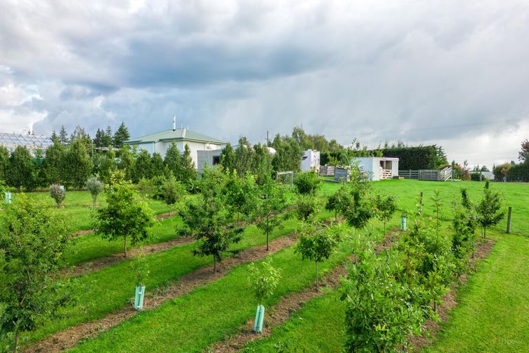 Photo of property in 17 Bakers Road, Waimate, 7978
