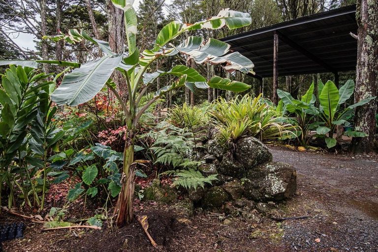 Photo of property in 304 Mangakahia Road, Maungatapere, Whangarei, 0179