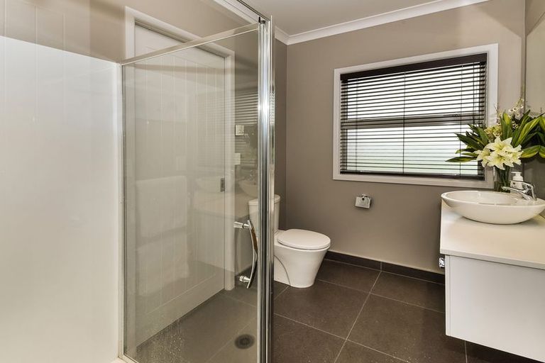 Photo of property in 17 Hinau Street, New Lynn, Auckland, 0600