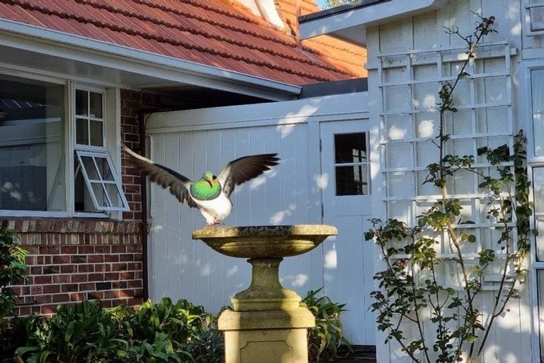 Photo of property in 84 Parkes Avenue, Saint Johns Hill, Whanganui, 4501