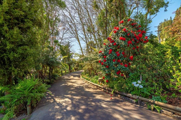 Photo of property in 69 Butler Road, Poroporo, Whakatane, 3192