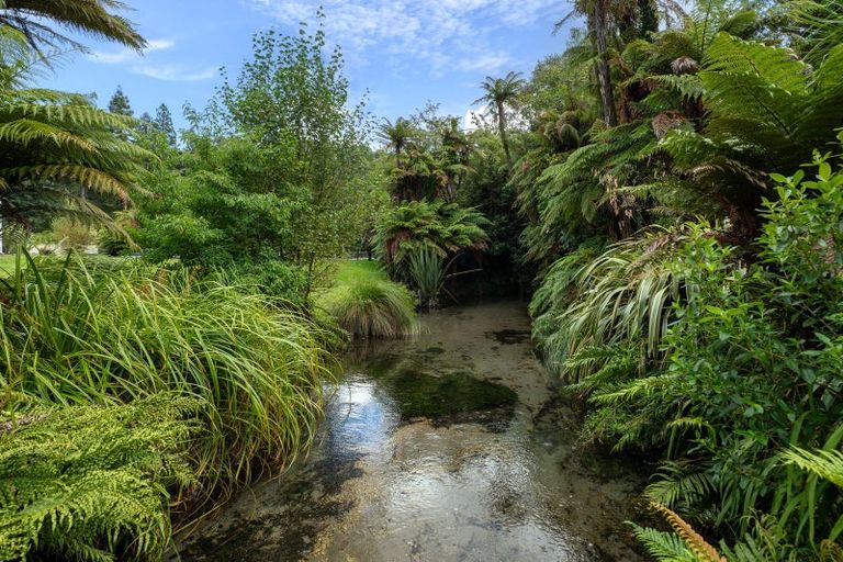 Photo of property in 165 Fairy Springs Road, Fairy Springs, Rotorua, 3015