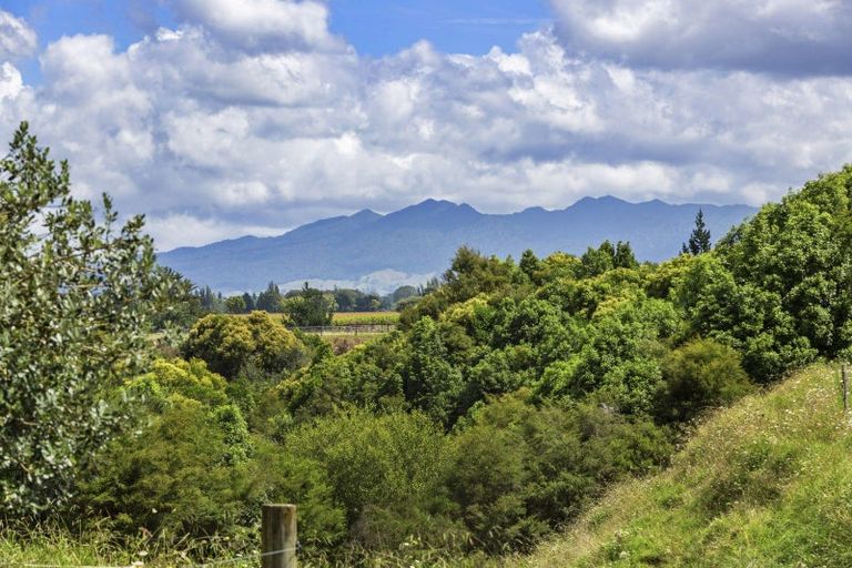 Photo of property in 131 Tarr Road, Ohaupo, 3881