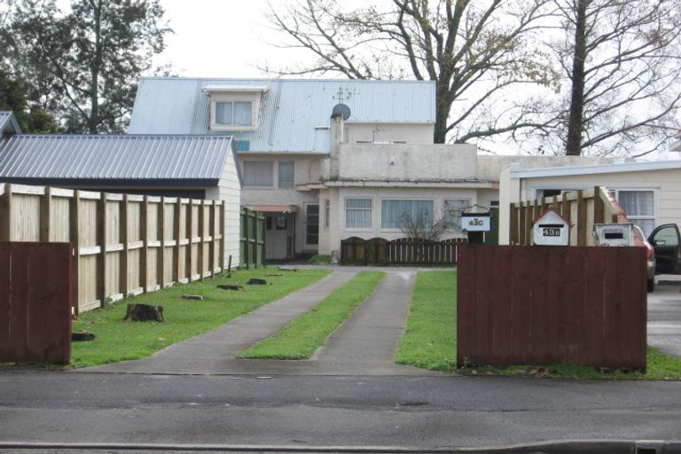 Photo of property in 43c Fifth Avenue, Enderley, Hamilton, 3214