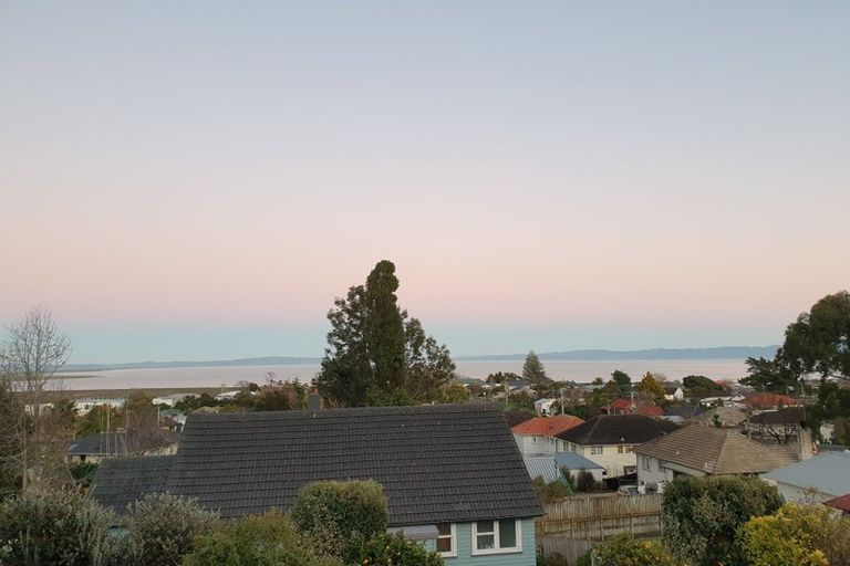 Photo of property in 109 Danby Street, Thames, 3500