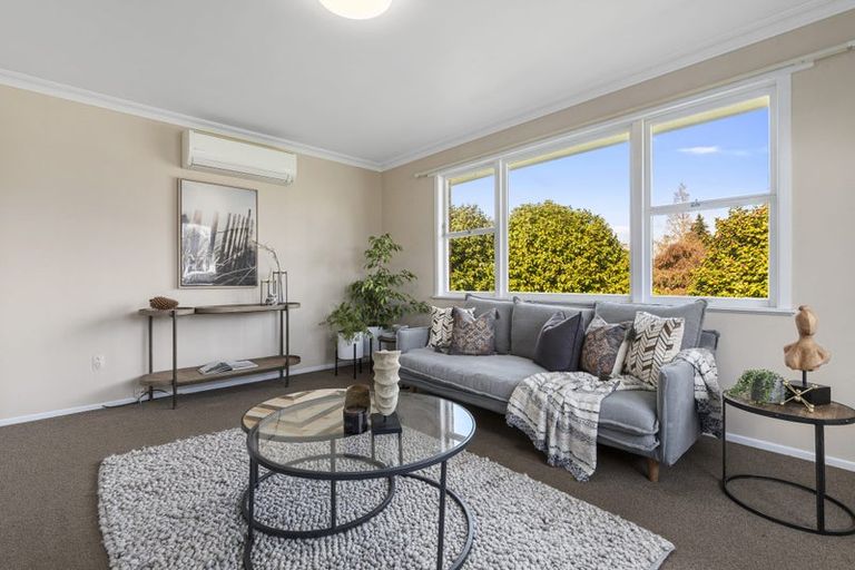 Photo of property in 1 The Drive, Brookfield, Tauranga, 3110