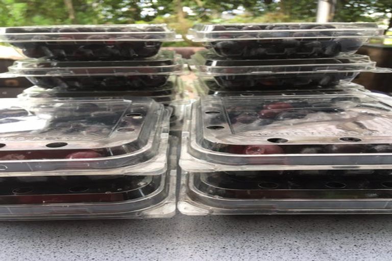 Photo of property in 70 Parore Street, Parore, Dargaville, 0372