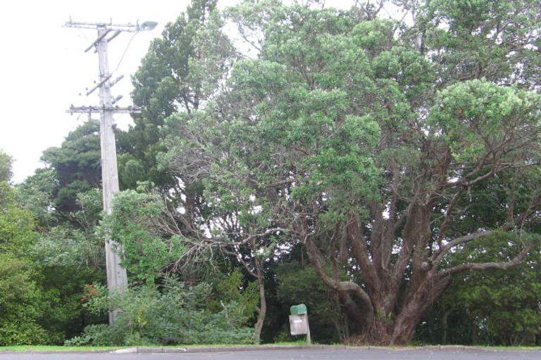 Photo of property in 86 Tanekaha Road, Titirangi, Auckland, 0604