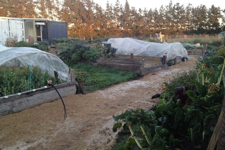 Photo of property in 148 Maskells Road, Balcairn, Amberley, 7481