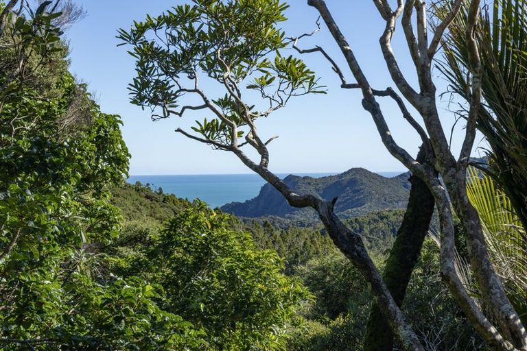 Photo of property in 165 Lone Kauri Road, Karekare, New Lynn, 0772