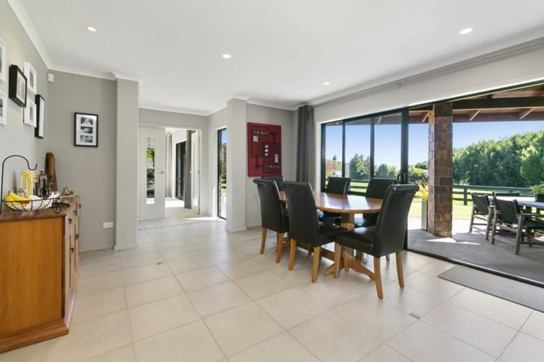 Photo of property in 565 Omanawa Road, Omanawa, Tauranga, 3171