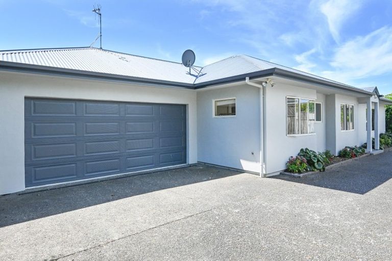 Photo of property in 19a Guthrie Road, Havelock North, 4130