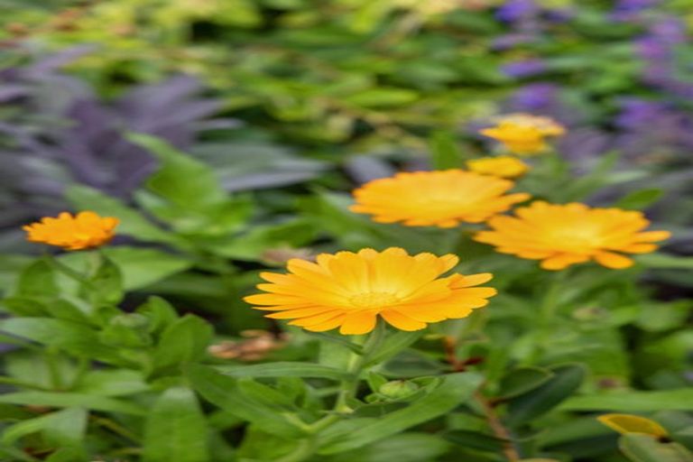 Photo of property in 7 Malthouse Lane, Heathcote Valley, Christchurch, 8022