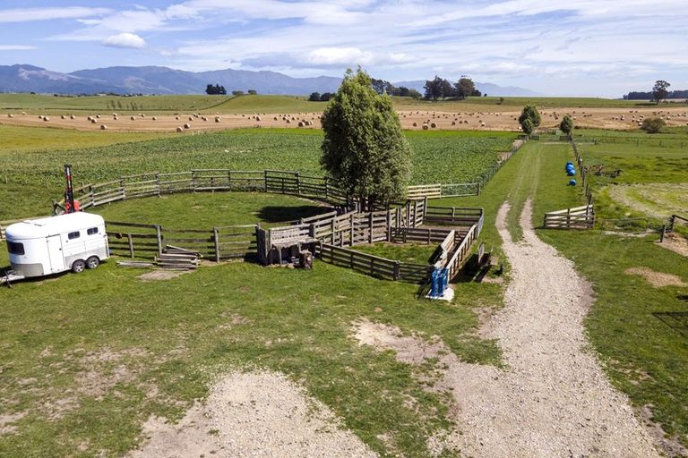 Photo of property in 429 Timaru Road, Waimate, 7978