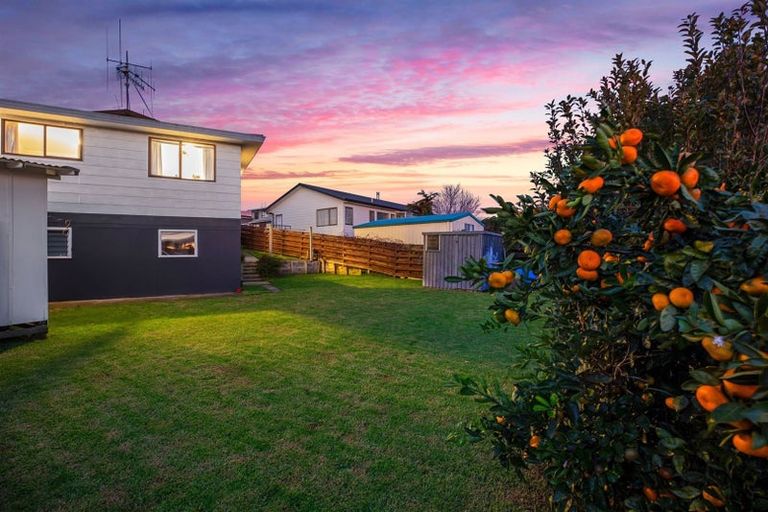 Photo of property in 38 Townhead Crescent, Bethlehem, Tauranga, 3110