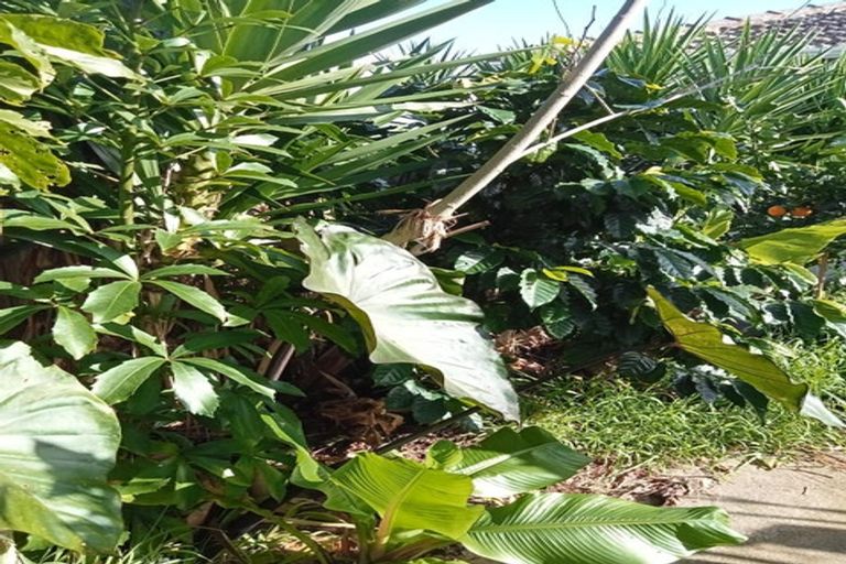 Photo of property in 40 Judea Road, Judea, Tauranga, 3110