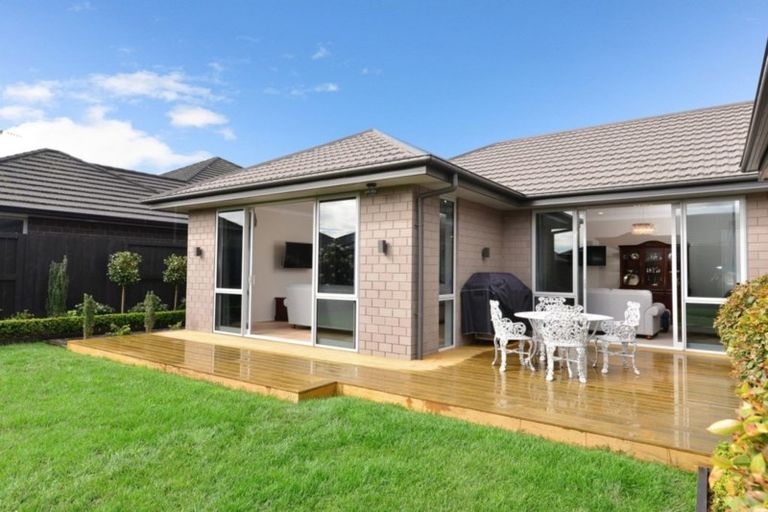 Photo of property in 49 Meadowfield Street, Flagstaff, Hamilton, 3210