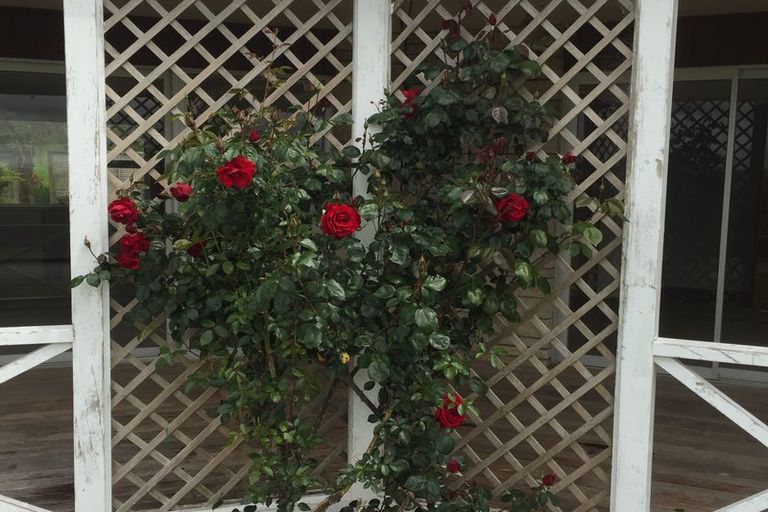 Photo of property in 204 Puketutu Road, Matamata, 3472