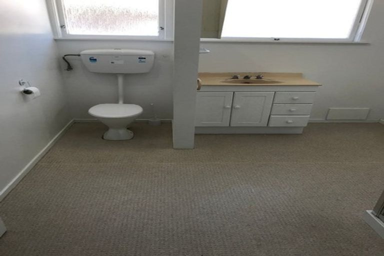 Photo of property in 56 Wake Street, Chartwell, Hamilton, 3210