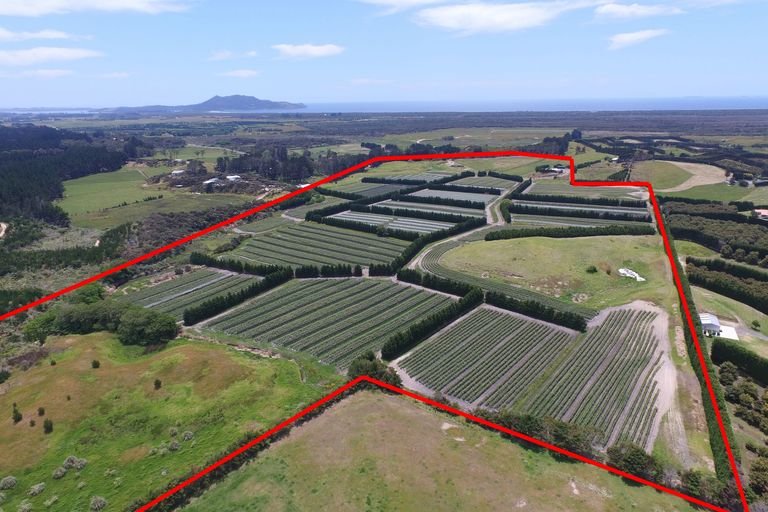 Photo of property in 3167 State Highway 1, Pukenui, Kaitaia, 0484