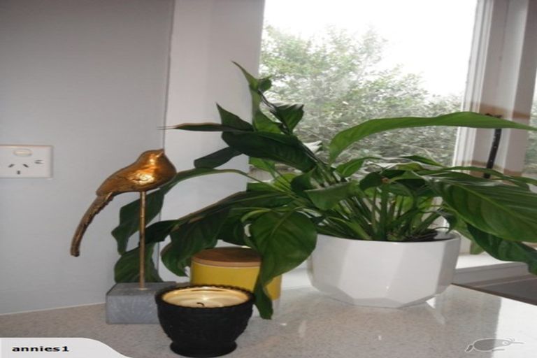 Photo of property in 23 South Street, West End, Palmerston North, 4410