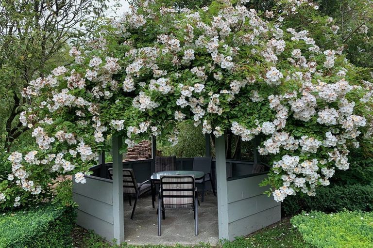 Photo of property in 86b Beach Street, Waikouaiti, 9510