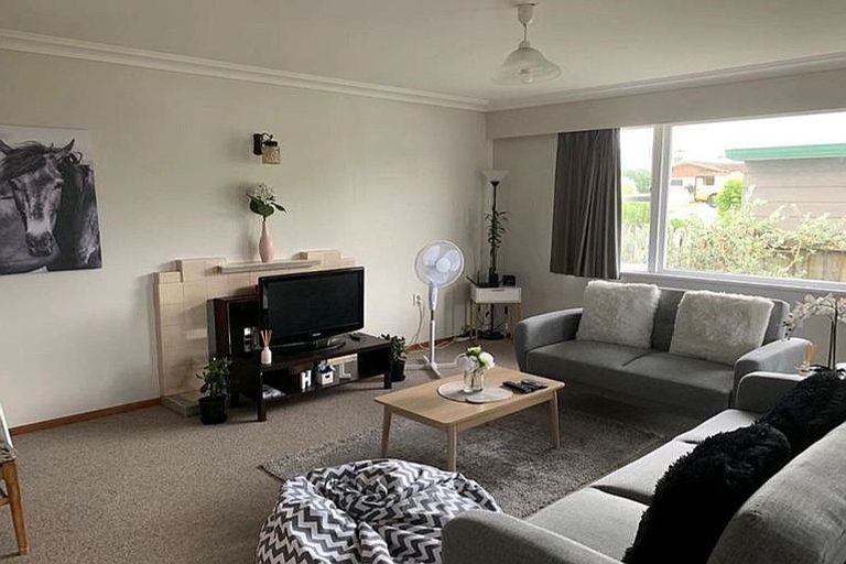 Photo of property in 176 Ngatai Road, Otumoetai, Tauranga, 3110