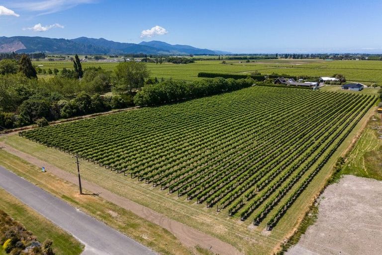 Photo of property in 5 Brook Street, Renwick, 7204