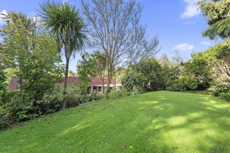 Photo of property in 57 Aurora Terrace, Hillcrest, Hamilton, 3216