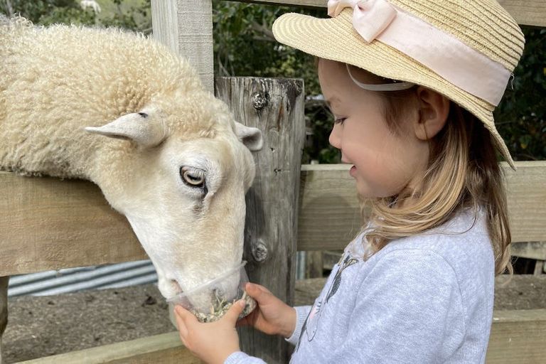 Photo of property in 308 Henderson Valley Road, Henderson Valley, Auckland, 0612