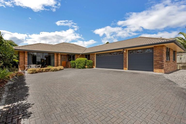 Photo of property in 41 Chadlington Avenue, Henderson, Auckland, 0612