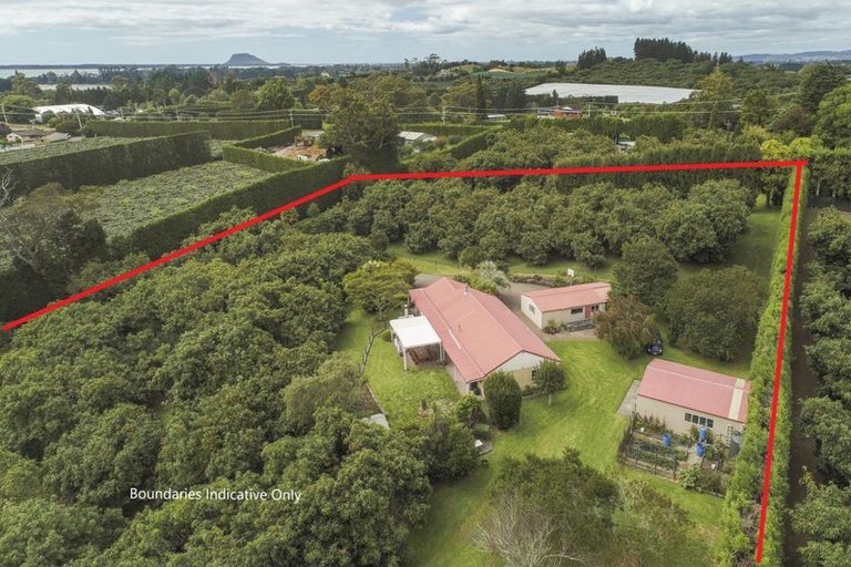 Photo of property in 71 Plummers Point Road, Whakamarama, Tauranga, 3172