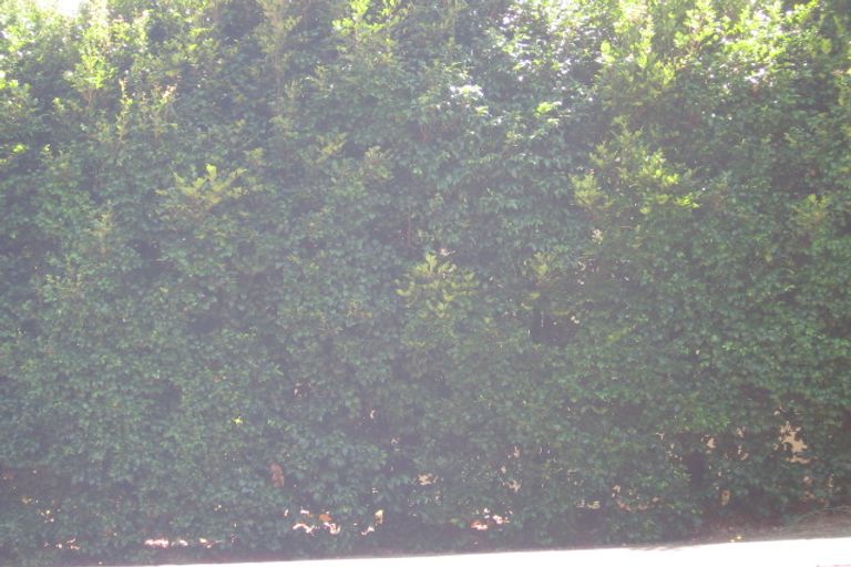 Photo of property in 177 Manuka Road, Bayview, Auckland, 0629