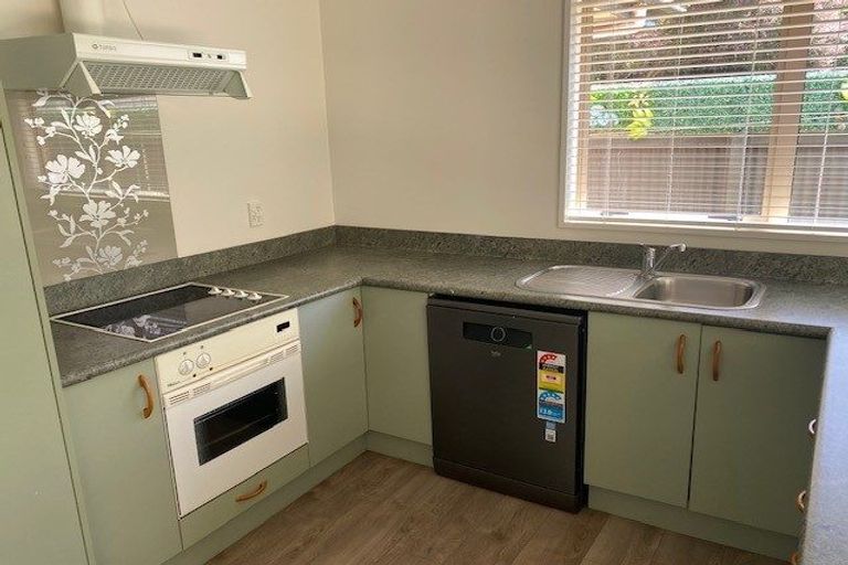 Photo of property in 60a Winton Street, St Albans, Christchurch, 8014