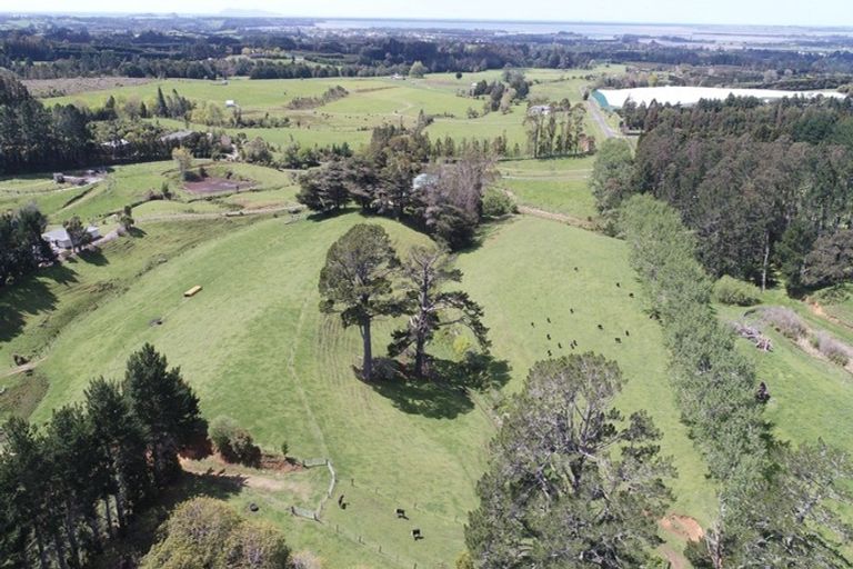 Photo of property in 348b Rea Road, Tahawai, Katikati, 3178