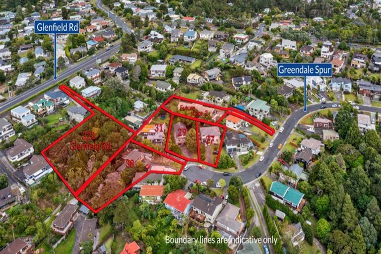 Photo of property in 38 Greendale Spur, Glenfield, Auckland, 0629