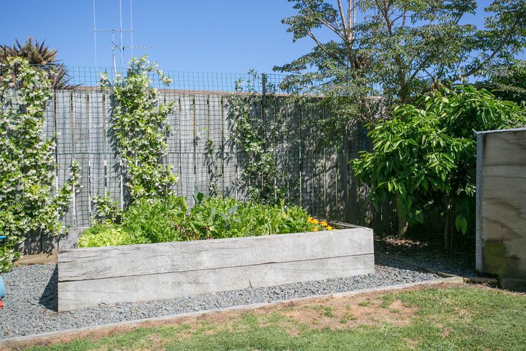 Photo of property in 6a Mason Place, Leamington, Cambridge, 3432