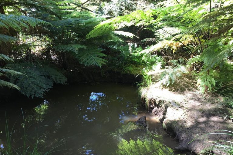 Photo of property in 538d Whangaripo Valley Road, Whangaripo, Wellsford, 0972