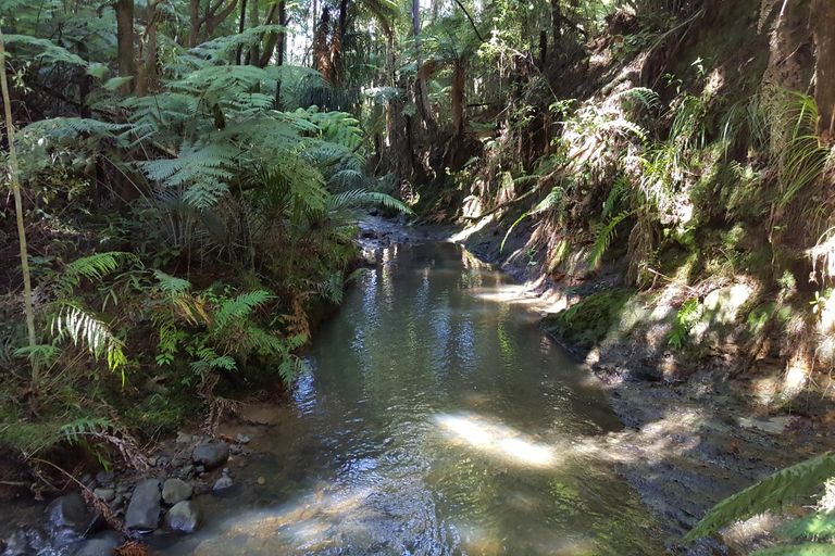 Photo of property in 40 Napuka Road, Henderson Valley, Auckland, 0612