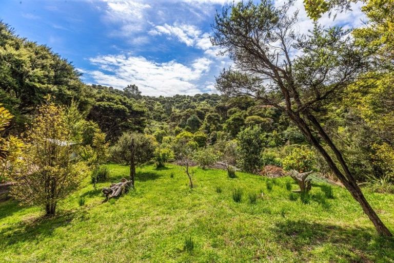 Photo of property in 19 Nepean Avenue, Waiheke Island, 1971