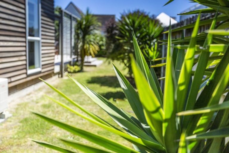 Photo of property in 211b Manly Street, Paraparaumu Beach, Paraparaumu, 5032