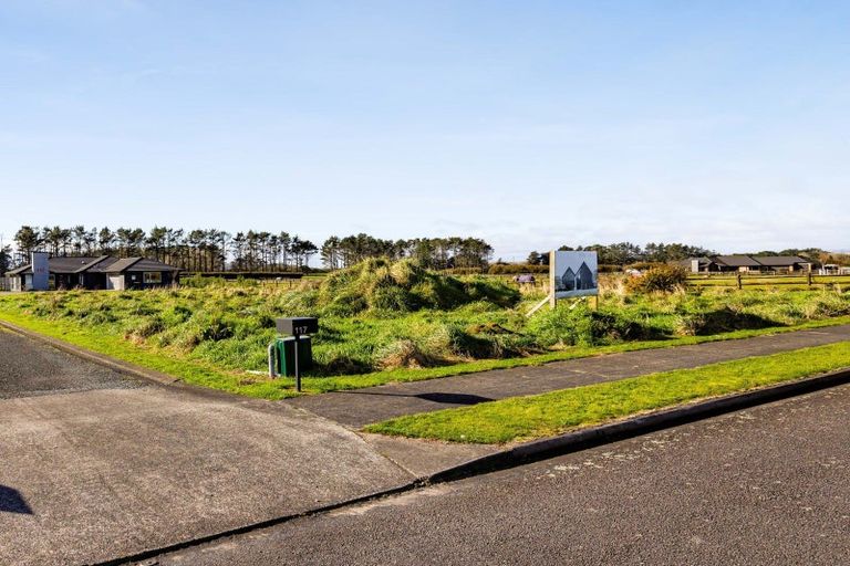 Photo of property in 115 Mercade Close, Stratford, 4332