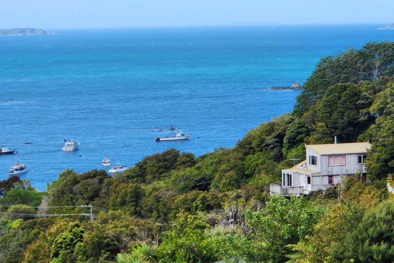 Photo of property in 19 Excelsior Road, Halfmoon Bay / Oban, Stewart Island, 9818