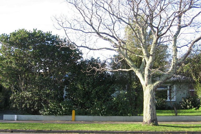 Photo of property in 399 Ruahine Street, Terrace End, Palmerston North, 4410