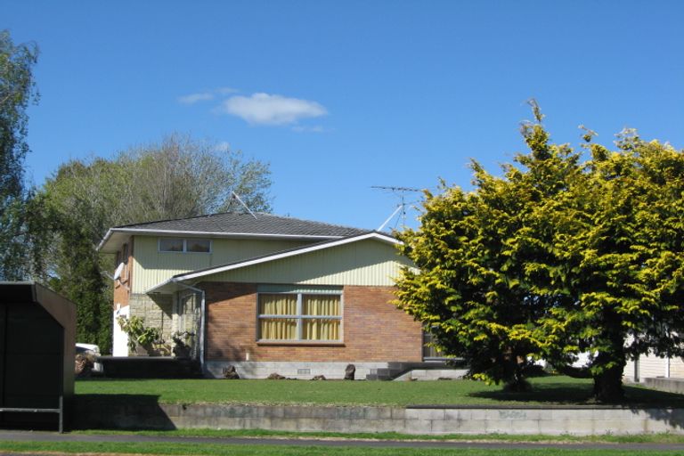 Photo of property in 178 Hakanoa Street, Huntly, 3700