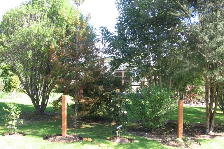 Photo of property in 102 Silkwood Lane, Whangamata, 3620