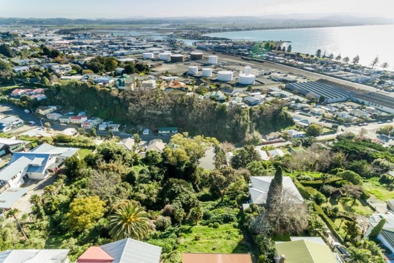 Photo of property in 24 Roslyn Road, Bluff Hill, Napier, 4110