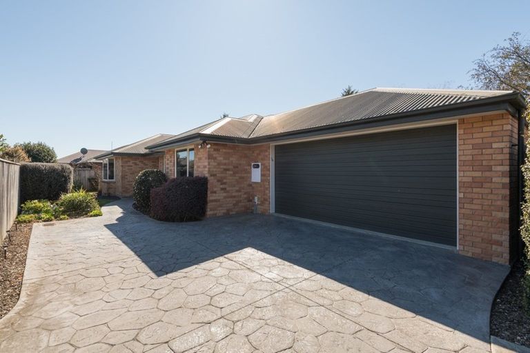 Photo of property in 7a Astelia Place, Richmond, 7020