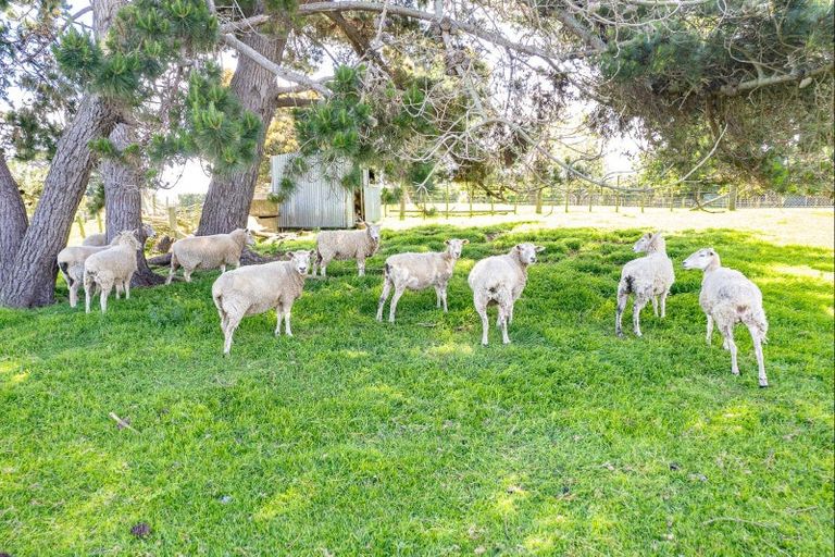 Photo of property in 208 Tayforth Road, Westmere, Whanganui, 4574