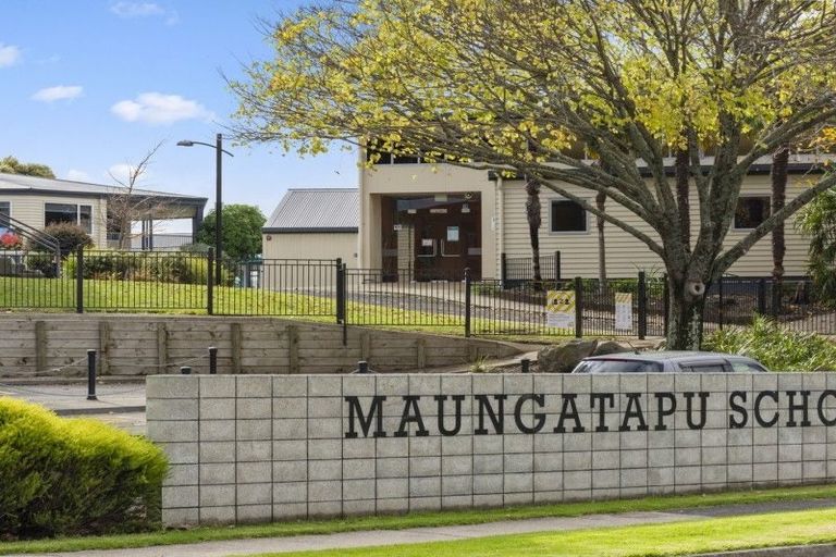 Photo of property in 340b Maungatapu Road, Maungatapu, Tauranga, 3112